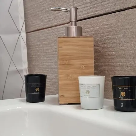 Art D'aimer Διαμέρισμα Sajmiste